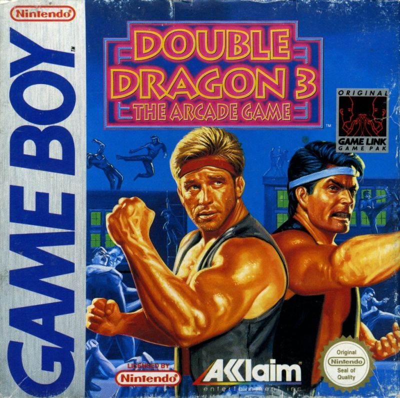 Jaquette de Double Dragon 3 The Arcade Game