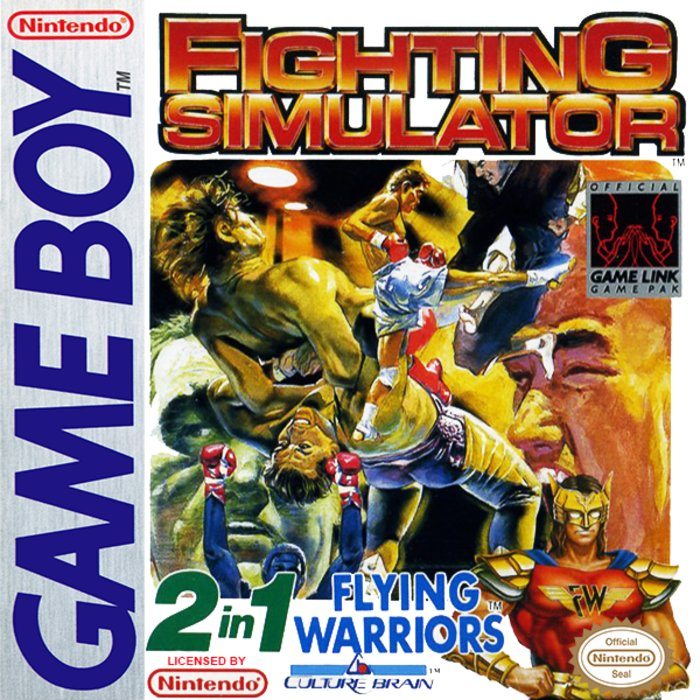 Jaquette de Fighting Simulator 2-in-1 Flying Warriors