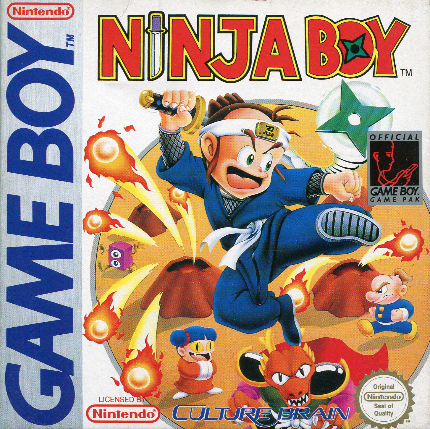 Jaquette de Ninja Boy