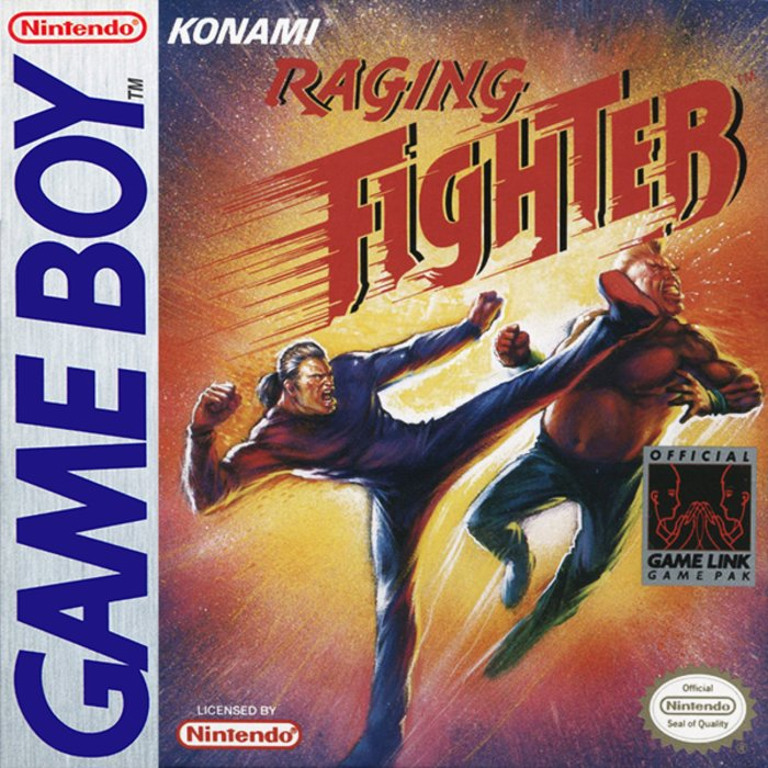 Jaquette de Raging Fighter