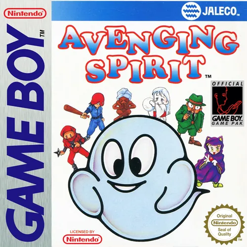 Jaquette de Avenging Spirit