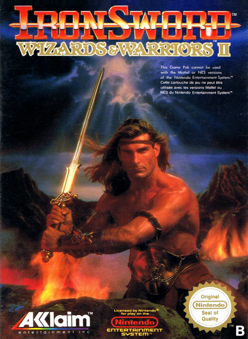 Jaquette de IronSword : Wizards & Warriors II
