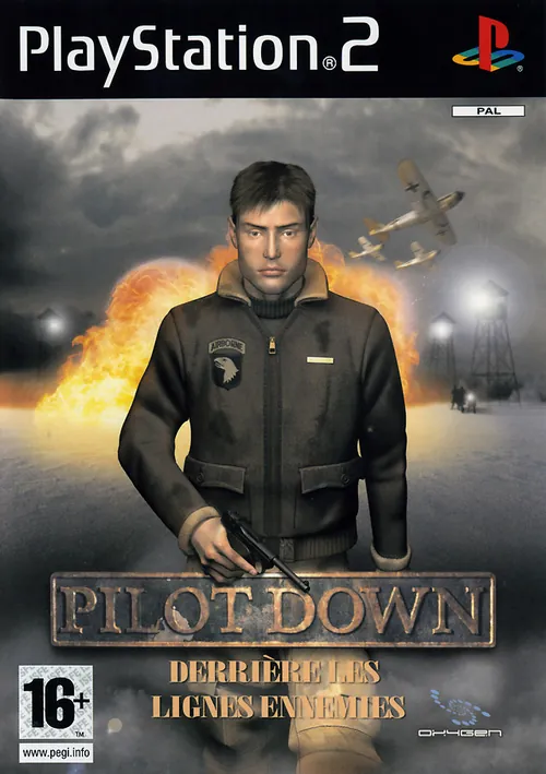 Jaquette de Pilot Down : Derrière les Lignes Ennemies