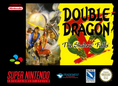 Jaquette de Double Dragon V : The Shadow Falls