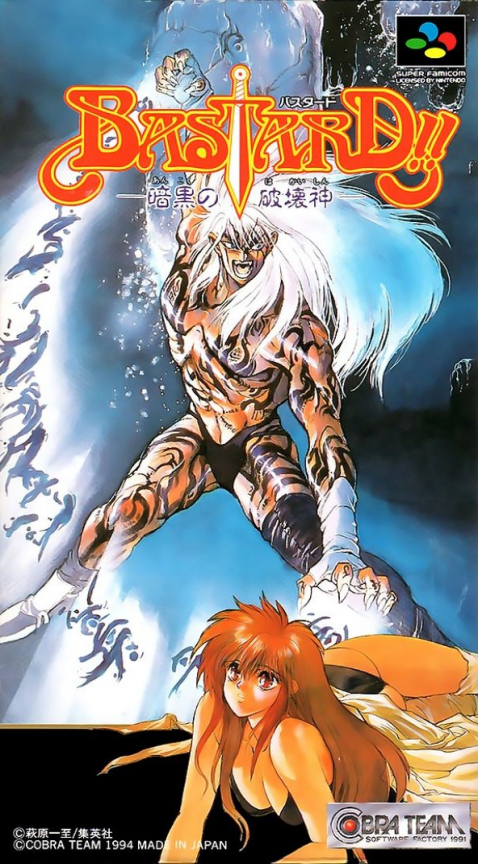 Jaquette de Bastard!!: Ankoku no Hakai-shin