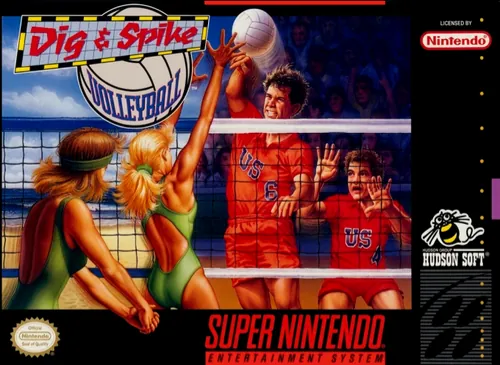 Jaquette de Dig & Spike Volleyball