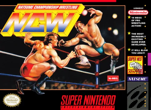 Jaquette de Natsume Championship Wrestling