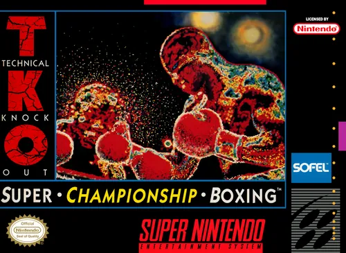 Jaquette de TKO Super Championship Boxing